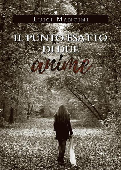 Il punto esatto di due anime - Luigi Mancini - ebook