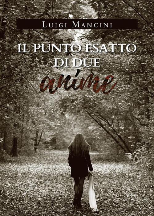 Il punto esatto di due anime - Luigi Mancini - ebook