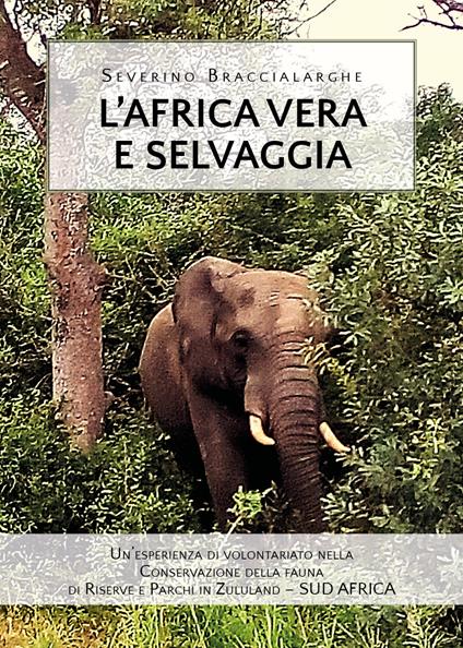 L' Africa vera e selvaggia - Severino Braccialarghe - copertina