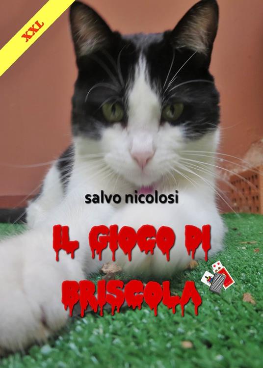 Il gioco di Briscola XXL - Salvo Nicolosi - copertina