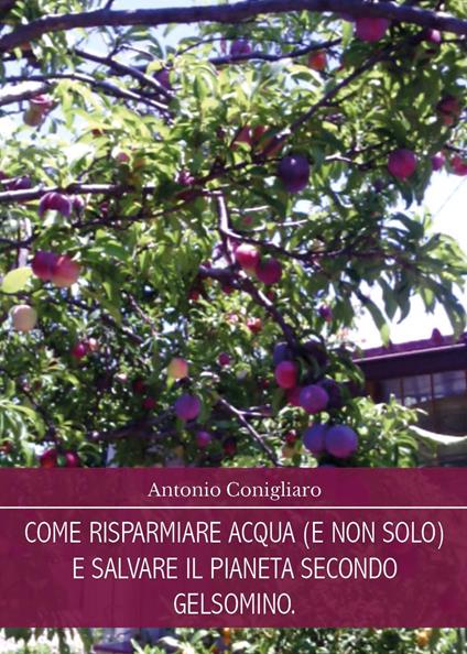 Come risparmiare acqua (e non solo) e salvare il pianeta secondo Gelsomino - Antonio Conigliaro - copertina