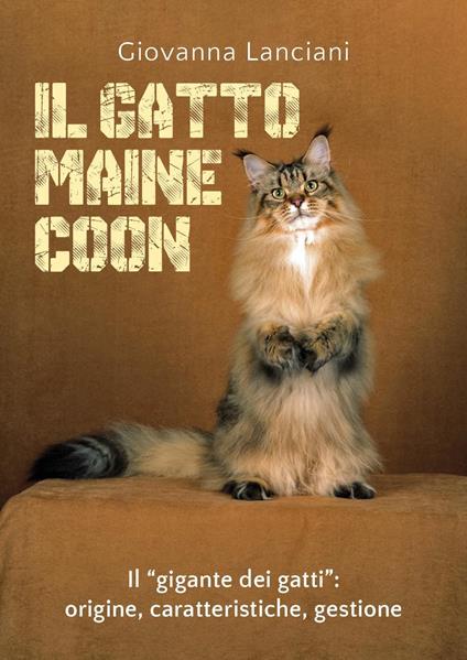 Il gatto Maine Coon - Giovanna Lanciani - copertina