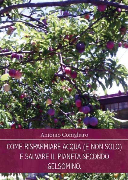 Come risparmiare acqua (e non solo) e salvare il pianeta secondo Gelsomino - Antonio Conigliaro - ebook