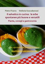 Il selvatico in cucina: le erbe spontanee più buone e versatili. Piante, consigli e gastronomia