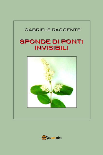 Sponde di ponti invisibili - Gabriele Raggente - copertina