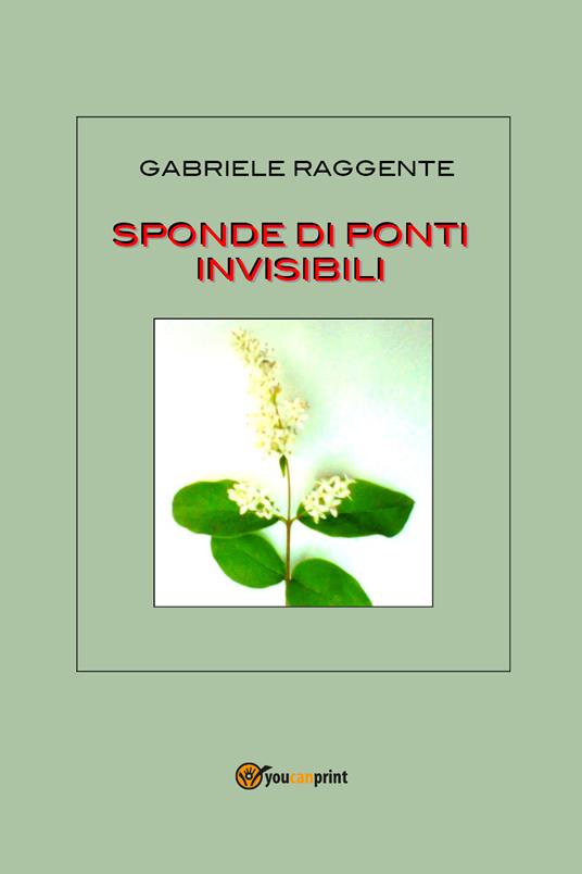 Sponde di ponti invisibili - Gabriele Raggente - copertina