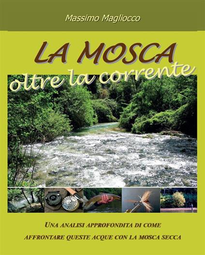 La mosca oltre la corrente - Massimo Magliocco - ebook