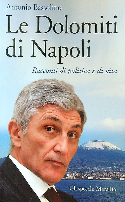 Le Dolomiti di Napoli. Racconti di politica e di vita