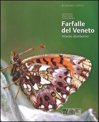 Farfalle del Veneto. Atlante distributivo. Ediz. italiana e inglese - Lucio Bonato,Marco Uliana - copertina