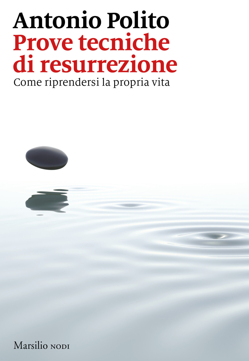 Libreria Scattisparsi Ravenna