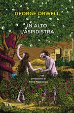 In alto l'aspidistra