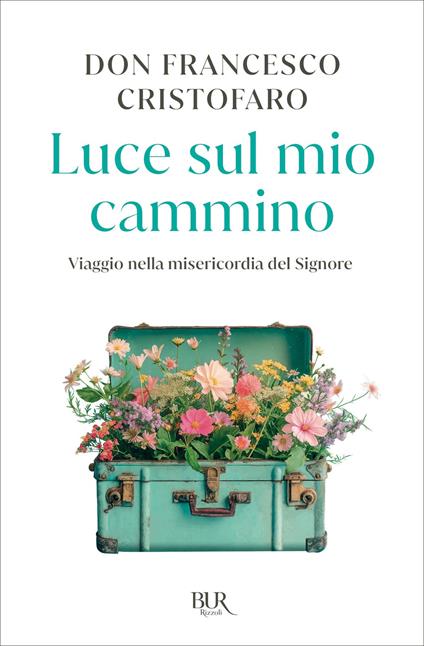 Luce sul mio cammino. Viaggio nella misericordia del Signore - Francesco Cristofaro - ebook