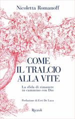 Come il tralcio alla vite. La sfida di rimanere in cammino con Dio