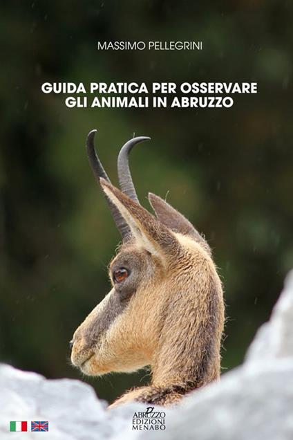 Guida pratica per osservare gli animali in Abruzzo. Ediz. italiana e inglese - Massimo Pellegrini - copertina