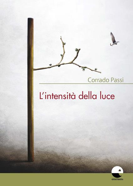 L'intensità della luce - Corrado Passi - copertina