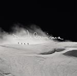 Davide Camisasca. Terre bianche