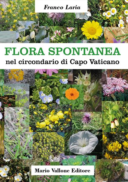 Flora spontanea nel circondario di Capo Vaticano. Ediz. illustrata - Franco Laria - copertina