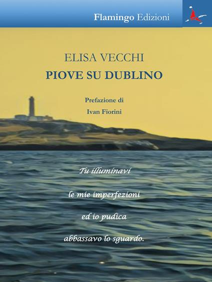 Piove su Dublino - Elisa Vecchi - copertina