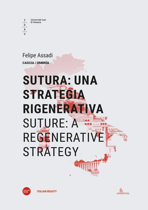 Sutura: una strategia rigenerativa-Suture: a regenerative strategy. Ediz. bilingue - Felipe Assadi - copertina
