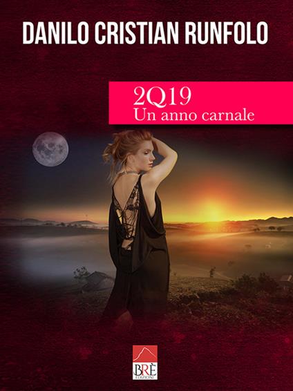 2Q19. Un anno carnale - Danilo Cristian Runfolo - copertina