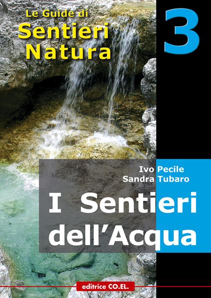 I sentieri dell'acqua. 40 itinerari escursionistici alla scoperta delle acque della montagna friulana - Ivo Pecile,Sandra Tubaro,Fabrizio Desio - copertina