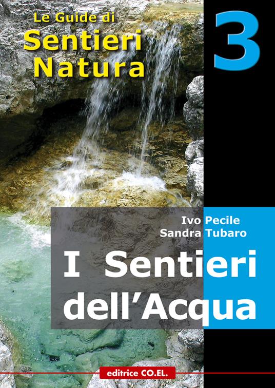 I sentieri dell'acqua. 40 itinerari escursionistici alla scoperta delle acque della montagna friulana - Ivo Pecile,Sandra Tubaro,Fabrizio Desio - copertina