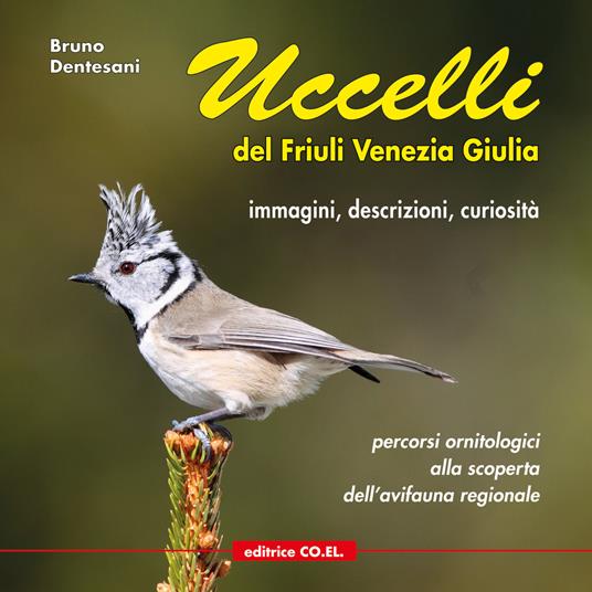Uccelli del Friuli Venezia Giulia. Immagini, descrizioni, curiosità. Percorsi ornitologici alla scoperta dell'avifauna regionale. Ediz. illustrata. Vol. 1 - Bruno Dentesani - copertina