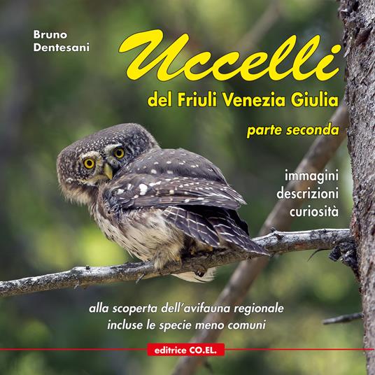 Uccelli del Friuli Venezia Giulia. Immagini, descrizioni, curiosità. Percorsi ornitologici alla scoperta dell'avifauna regionale. Ediz. illustrata. Vol. 2 - Bruno Dentesani - copertina