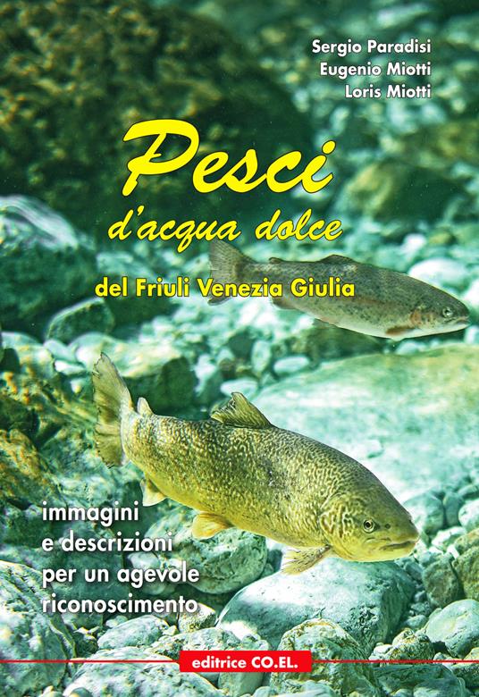 Pesci d'acqua dolce del Friuli Venezia Giulia. Immagini e descrizioni per un agevole riconoscimento. Ediz. illustrata - Sergio Paradisi,Eugenio Miotti,Loris Miotti - copertina