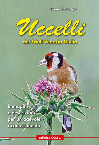 Uccelli del Friuli Venezia Giulia. Immagini e descrizioni per un agevole riconoscimento - Bruno Dentesani - copertina