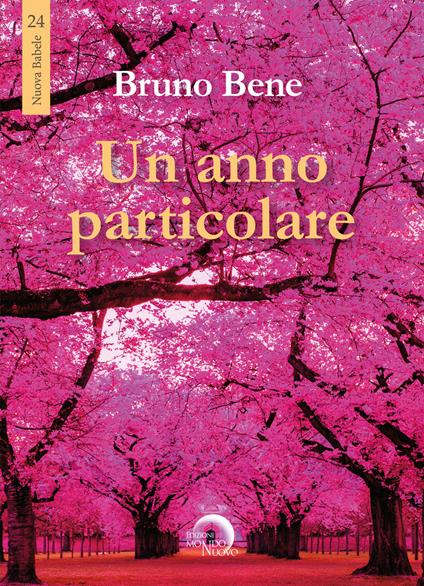 Un anno particolare - Bruno Bene - copertina