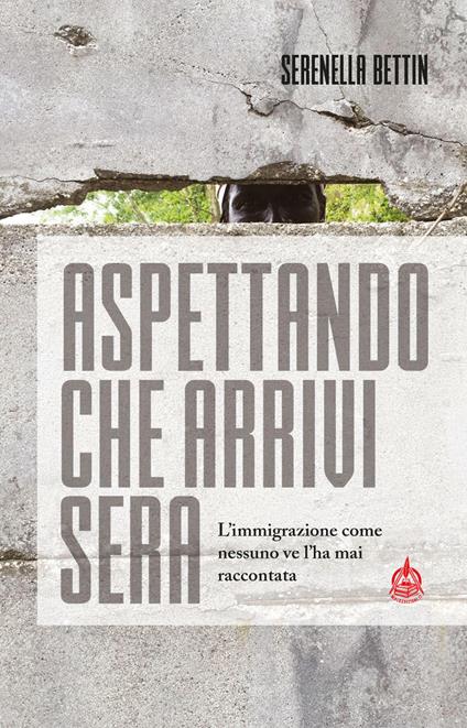 Aspettando che arrivi sera. L'immigrazione come nessuno ve l'ha mai raccontata - Serenella Bettin - copertina