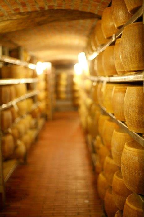 Il formaggio. Come sceglierlo, degustarlo e cucinarlo - Manuela Vanni,Allan Bay - copertina