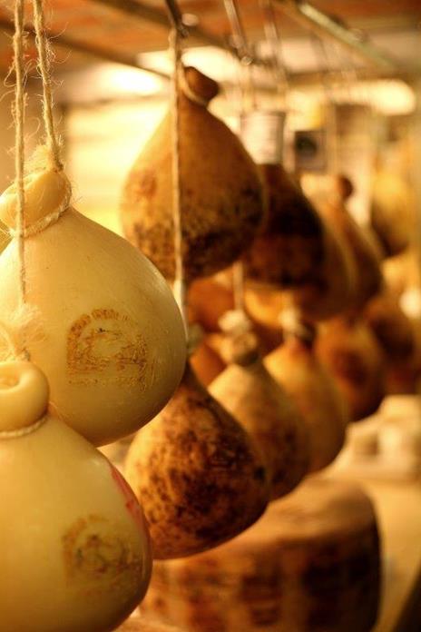 Il formaggio. Come sceglierlo, degustarlo e cucinarlo - Manuela Vanni,Allan Bay - 2