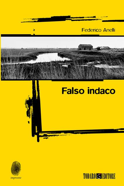Falso indaco - Federico Anelli - copertina