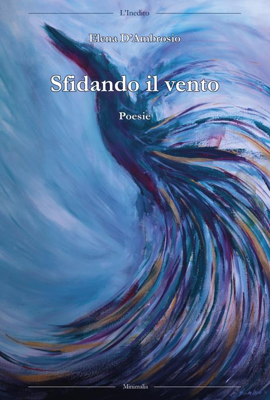 Sfidando il vento - Elena D'Ambrosio - copertina
