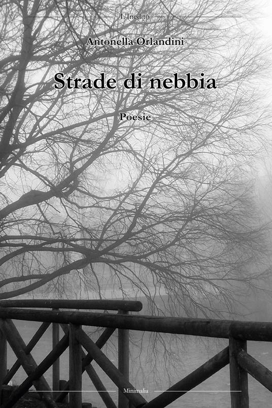 Strade di nebbia - Antonella Orlandini - copertina
