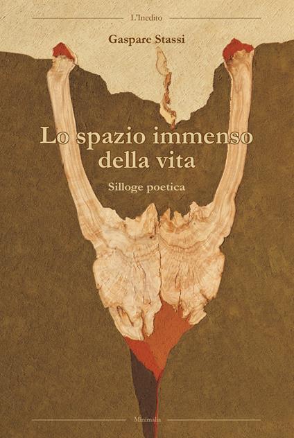 Lo spazio immenso della vita - Gaspare Stassi - copertina
