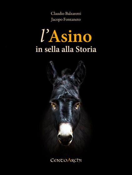 L' asino in sella alla storia - Claudio Balzaretti,Jacopo Fontaneto - copertina