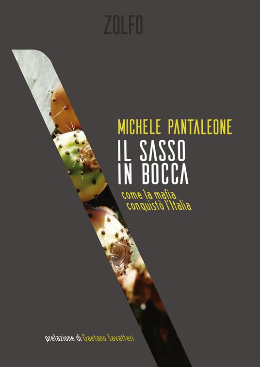 Il sasso in bocca. Come la mafia conquistò l'Italia - Michele Pantaleone - ebook