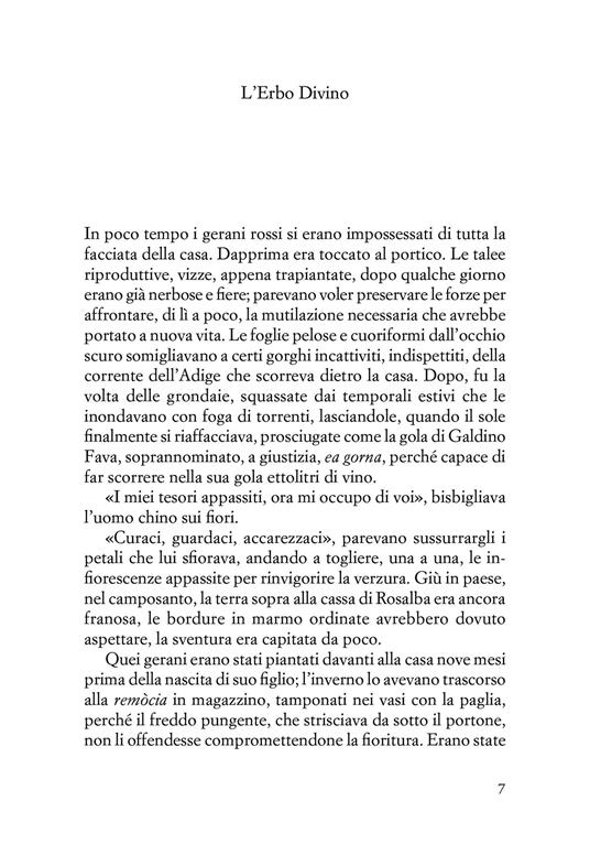 Padre terra - Barbara Buoso - 2