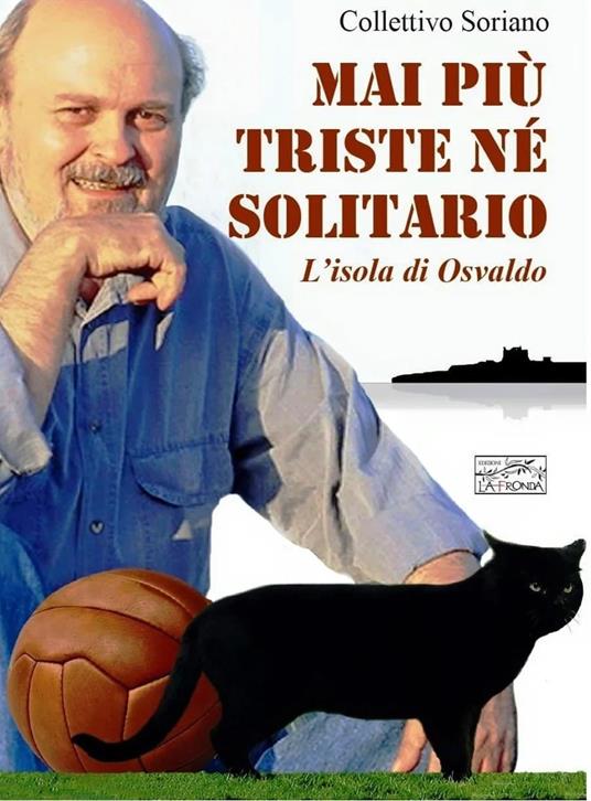 Mai più triste né solitario - Massimiliano Castellani - copertina