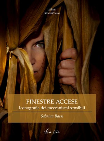 Finestre accese - Sabrina Bassi - copertina