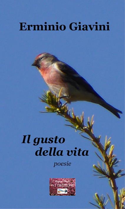 Il gusto della vita - Erminio Giavini - copertina