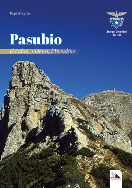Pasubio. Il Palon, i Denti, l'Incudine - Bepi Magrin - copertina