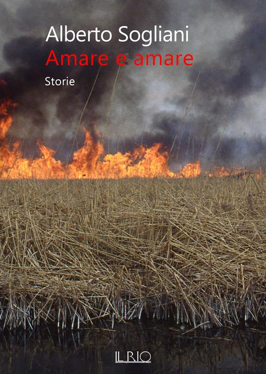 Amare e amare - Alberto Sogliani - copertina