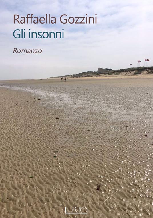 Gli insonni - Raffaella Gozzini - copertina