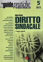 Guida pratica. Diritto sindacale