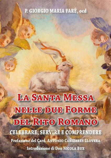 La santa messa nelle due forme del rito romano. Celebrare, servire e comprendere - Giorgio Maria Faré - ebook