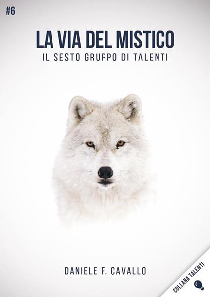 La via del mistico. Il sesto gruppo di talenti - Daniele Francesco Cavallo - ebook
